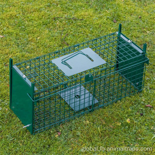 China Live Cage Trap for Small Animals Factory